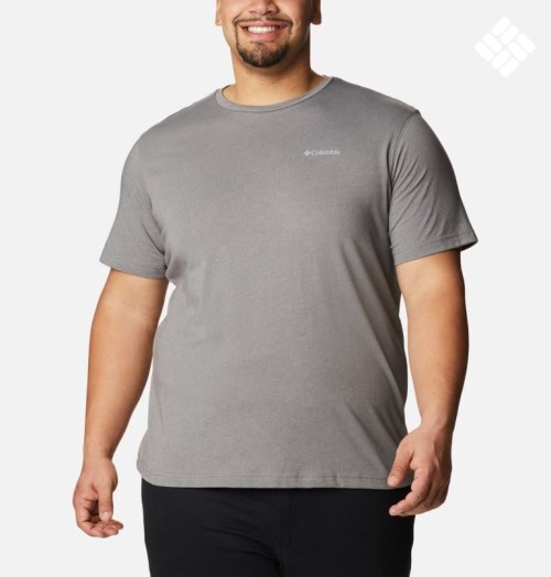 Men's Columbia Thistletown Hills Short Sleeve T Shirts Grey | Plus Size CA-Y5016